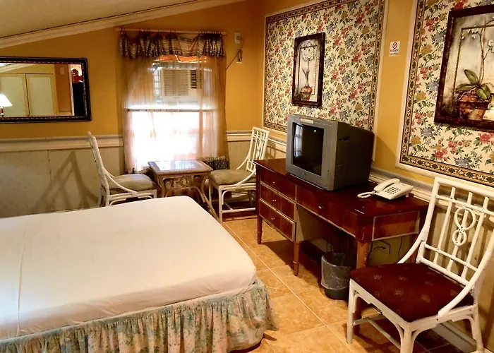イン Europa Mansionette 3*
